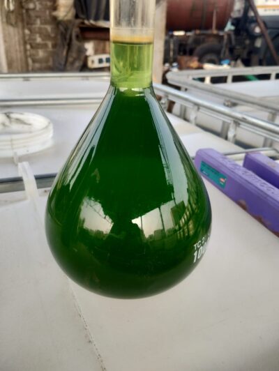 Ferrous Chloride